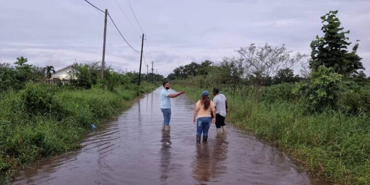 711670921 122132538543087547 5271914932569114555 n Districtscommissaris Bhattoe en zijn team inventariseren de schade na zware regenval en rukwinden in Wanica Centrum en starten direct met verbeteringswerkzaamheden. Lees verder voor alle details en plannen.