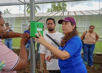 lvv sensor 3 Suriname’s Ministry of Agriculture advances climate-smart farming by installing digital sensors in greenhouses, boosting efficiency and resilience. Discover how technology shapes sustainable agriculture in the full article.