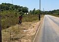 B2 La Autoridad de Carreteras de Suriname realiza mantenimiento de las bermas en Brokopondo y Sipaliwini para mejorar la seguridad vial mediante la poda de vegetación y la limpieza de los bordes de las carreteras.